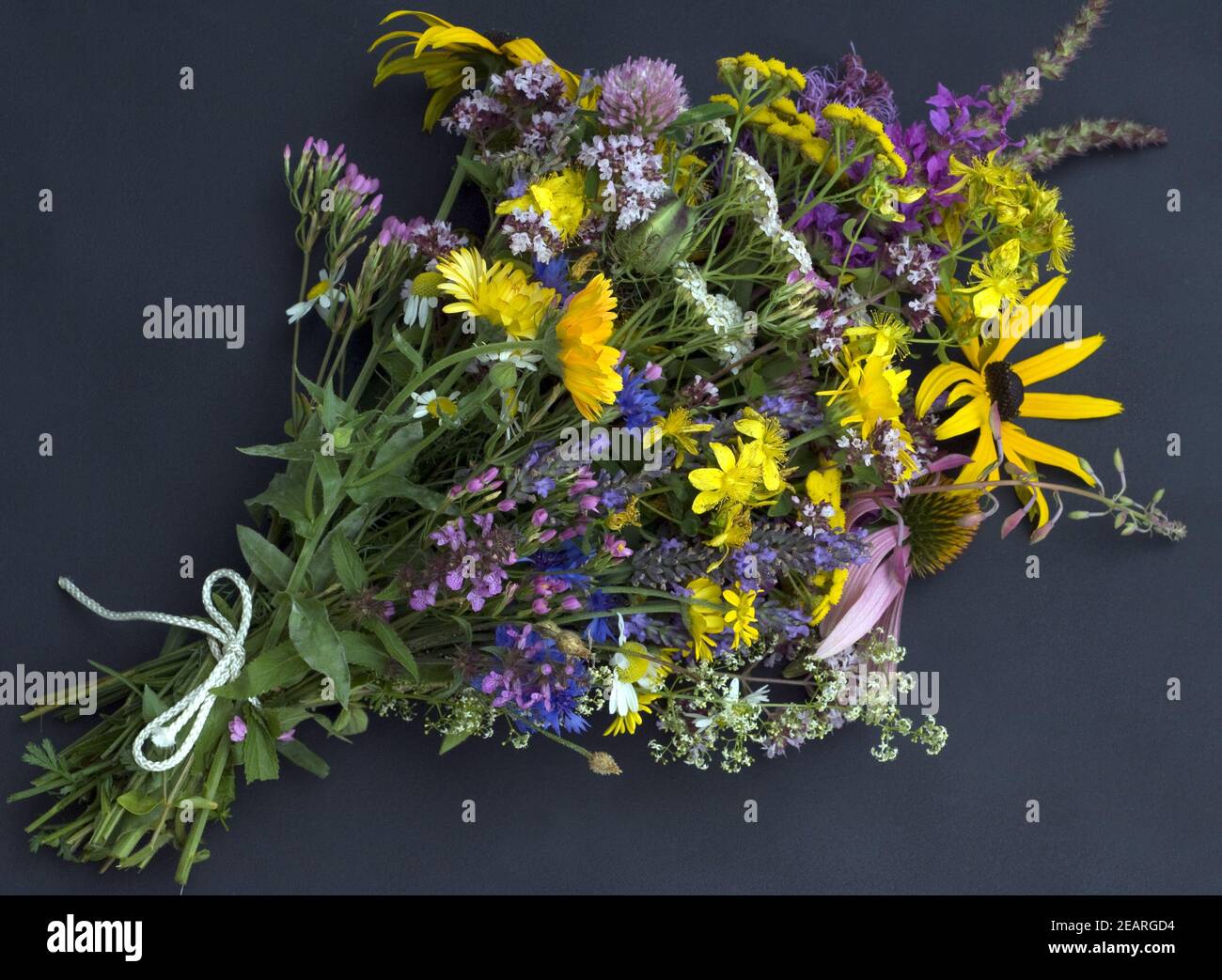 Strauss mit Heilpflanzen Stock Photo