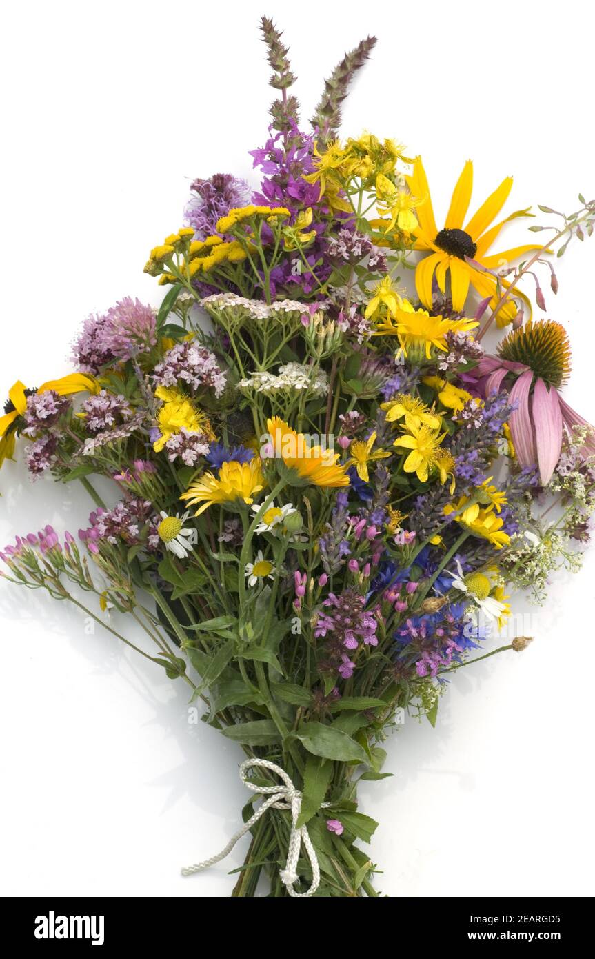 Strauss mit Heilpflanzen Stock Photo