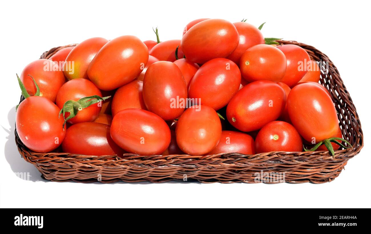 Pflaumentomate, Pflaumen-Buschtomate, Ravello, Lycopersicon, esculentum Stock Photo