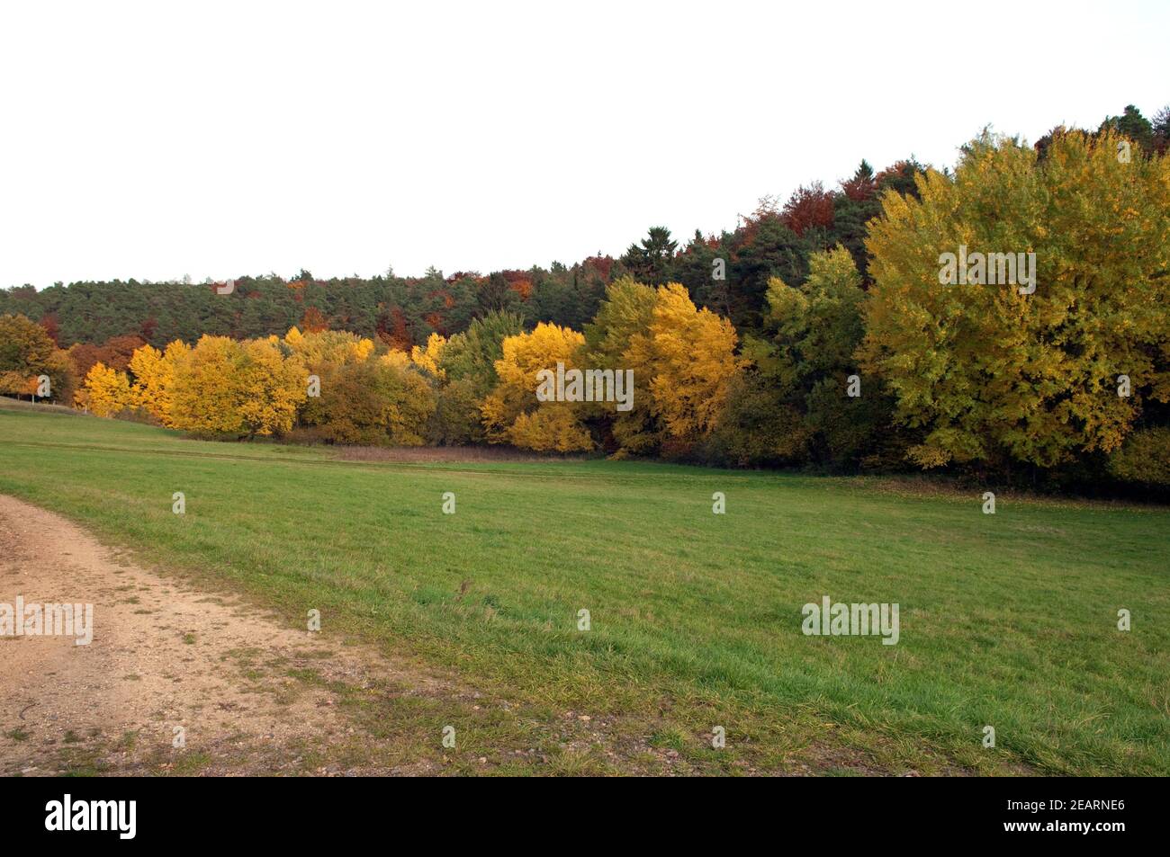 Herbstimpressionen, Herbst, Herbstblaetter Stock Photo