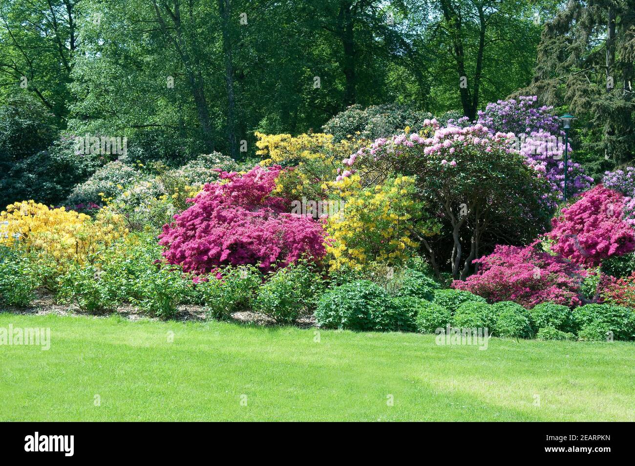 Rhododendronpark hi-res stock photography and images - Alamy