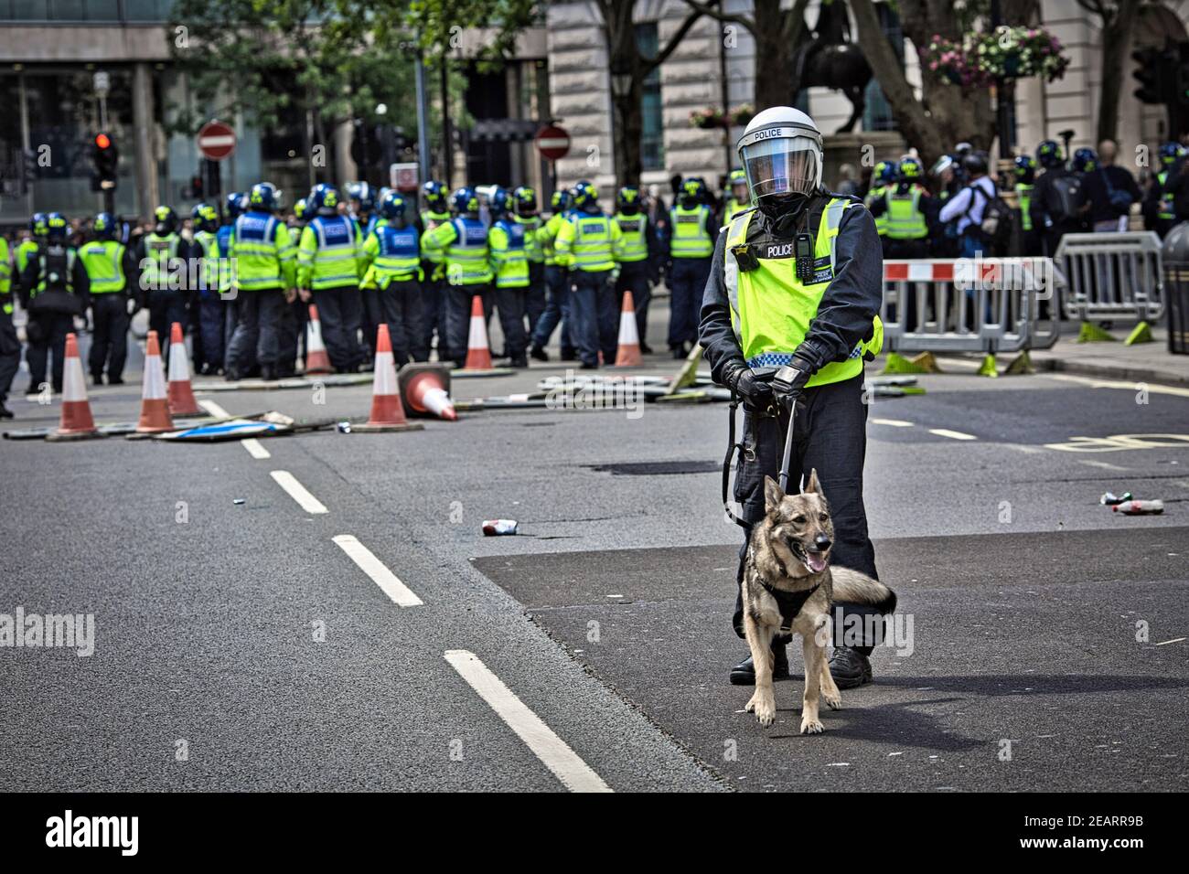 London 13 June 2020 police attack dog is brought into a riot situation with far right groups anti racist  and  BLM . Stock Photo