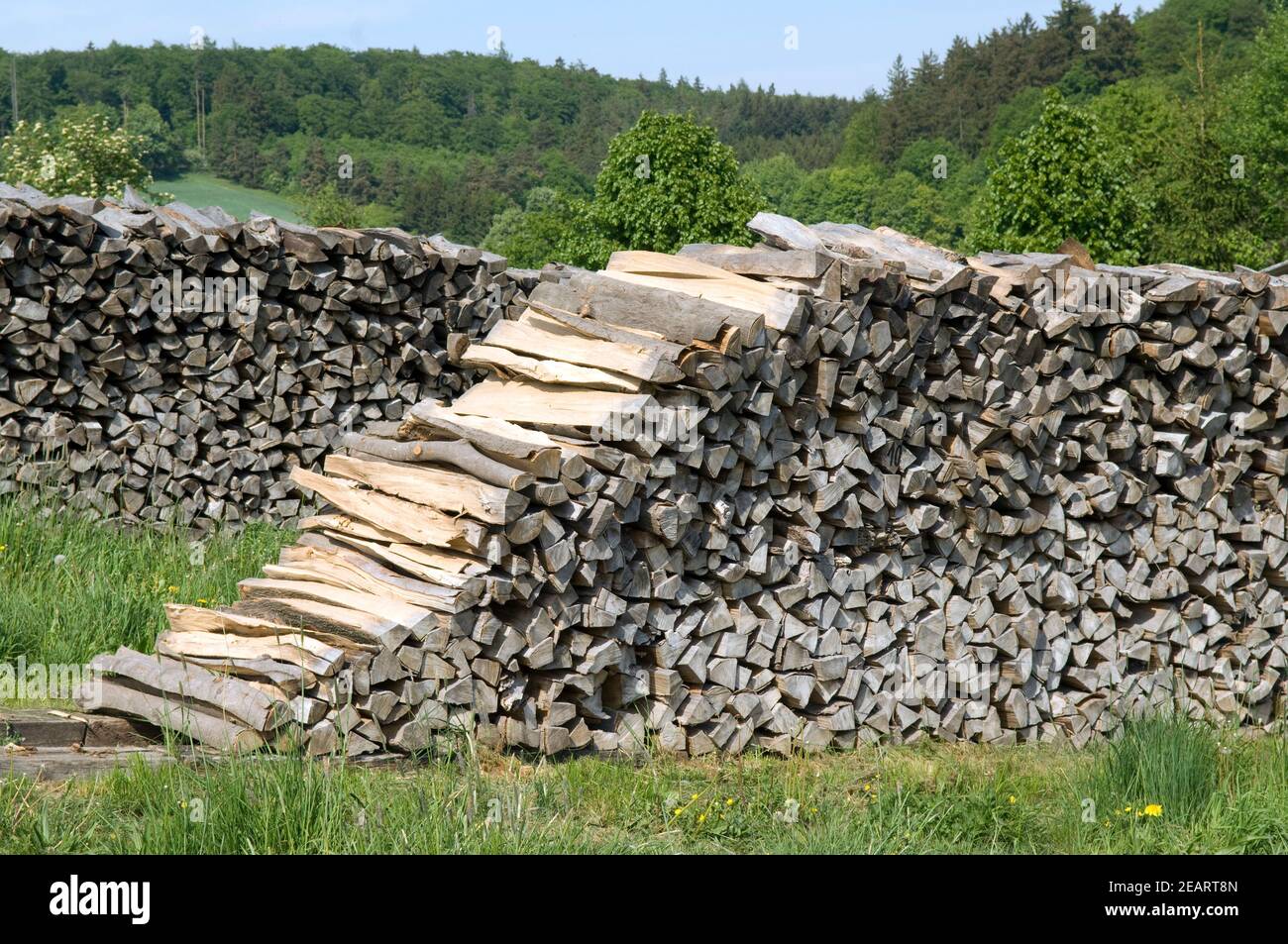 Holzstapel, Buchenholz Stock Photo