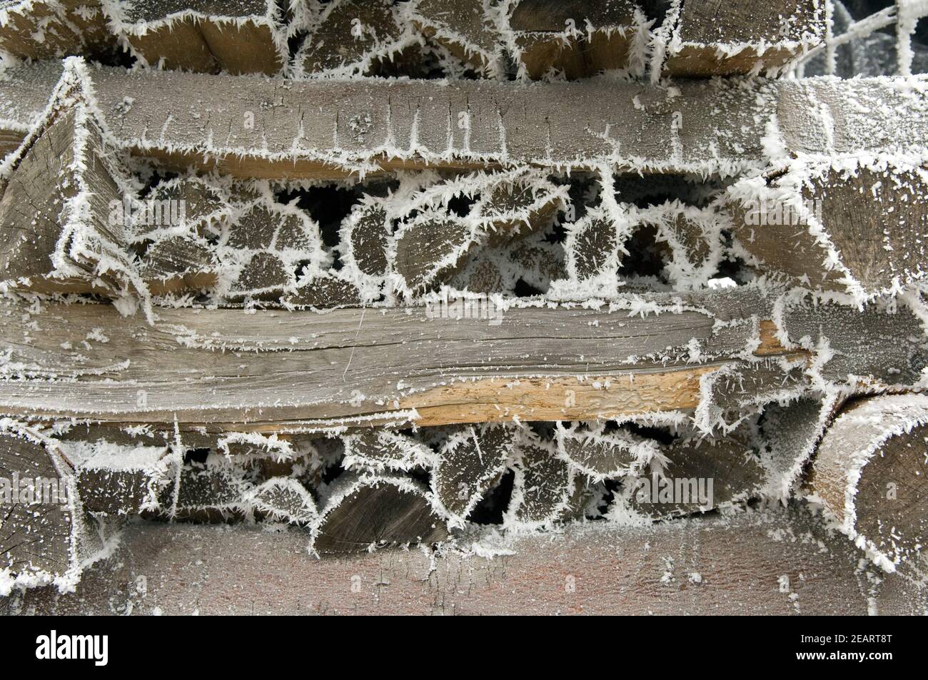 Holz mit Raureif Stock Photo