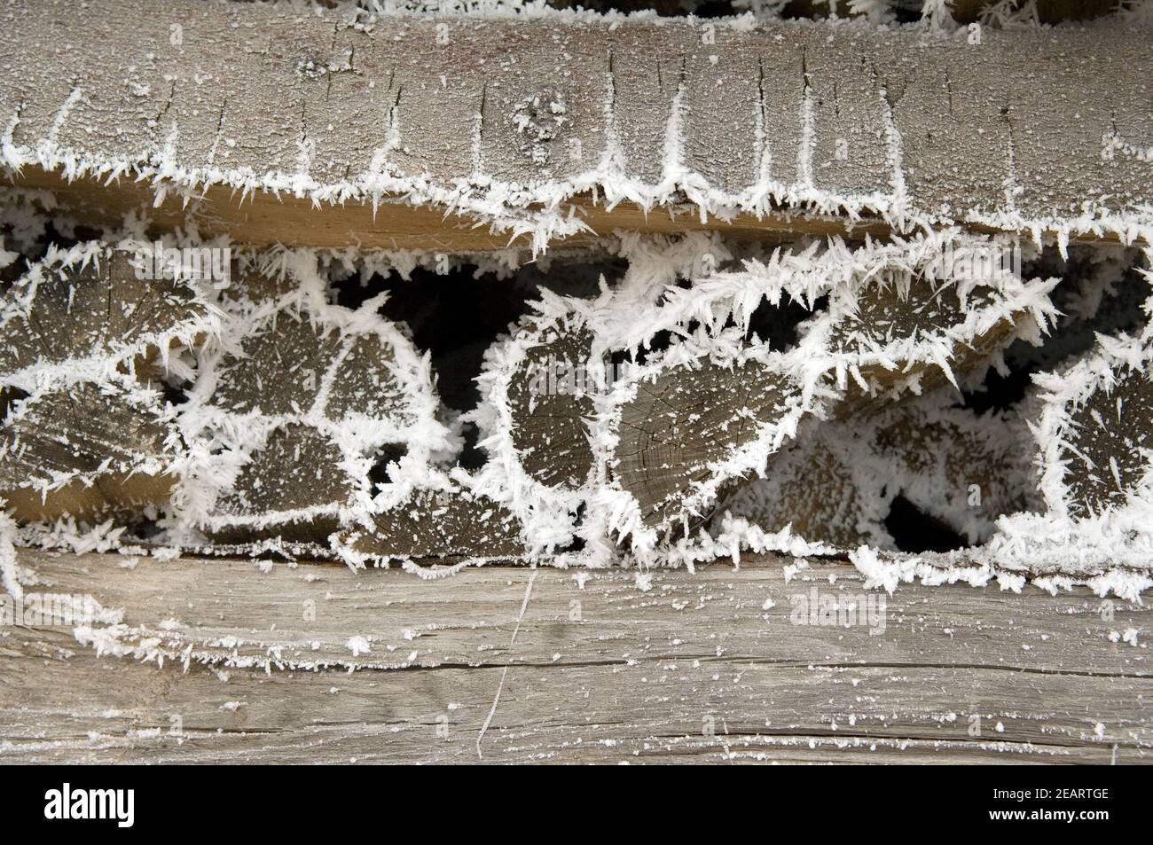 Holz mit Raureif Stock Photo