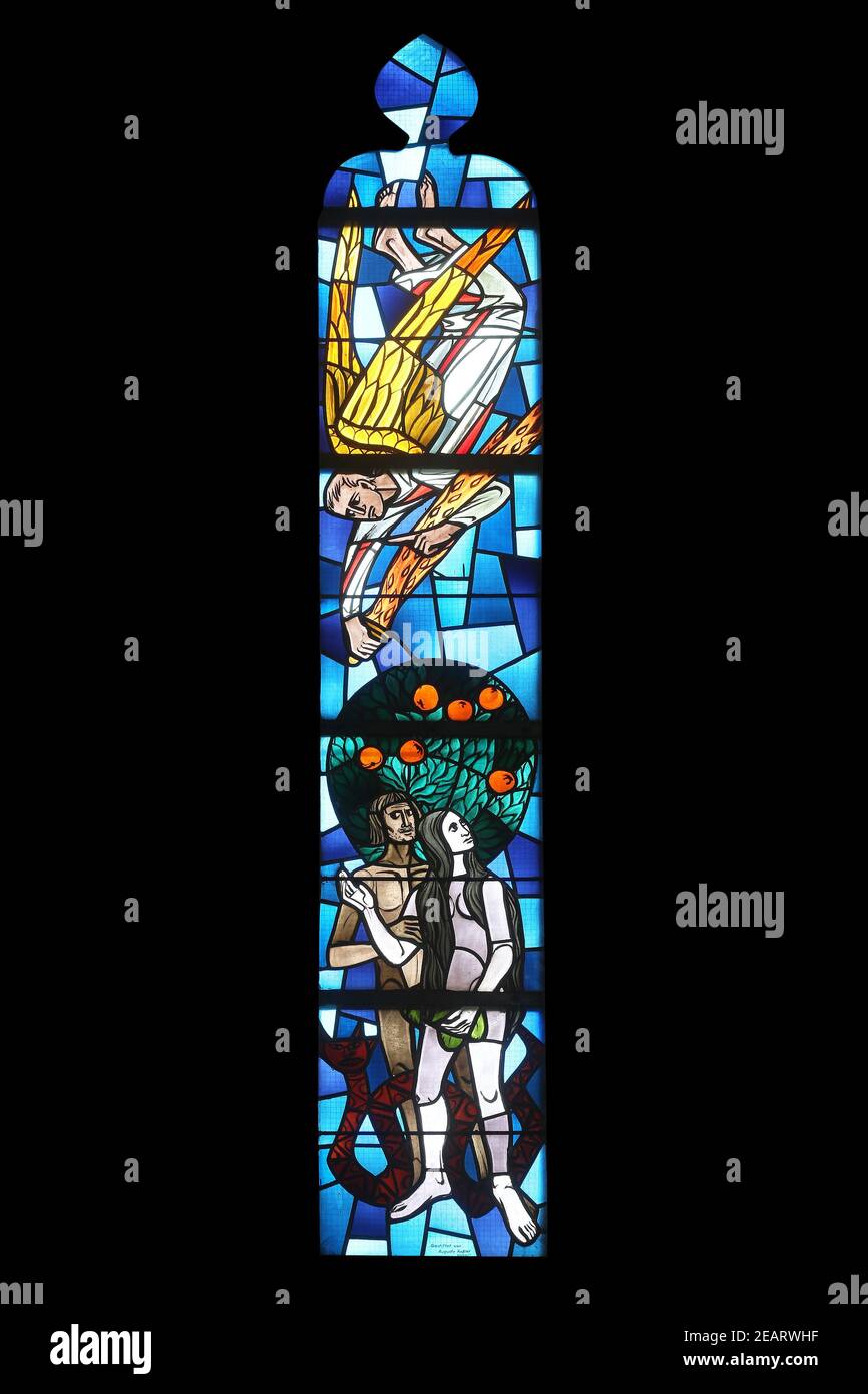 Adam and Eve, stained glass window at Evangelical Church in ...