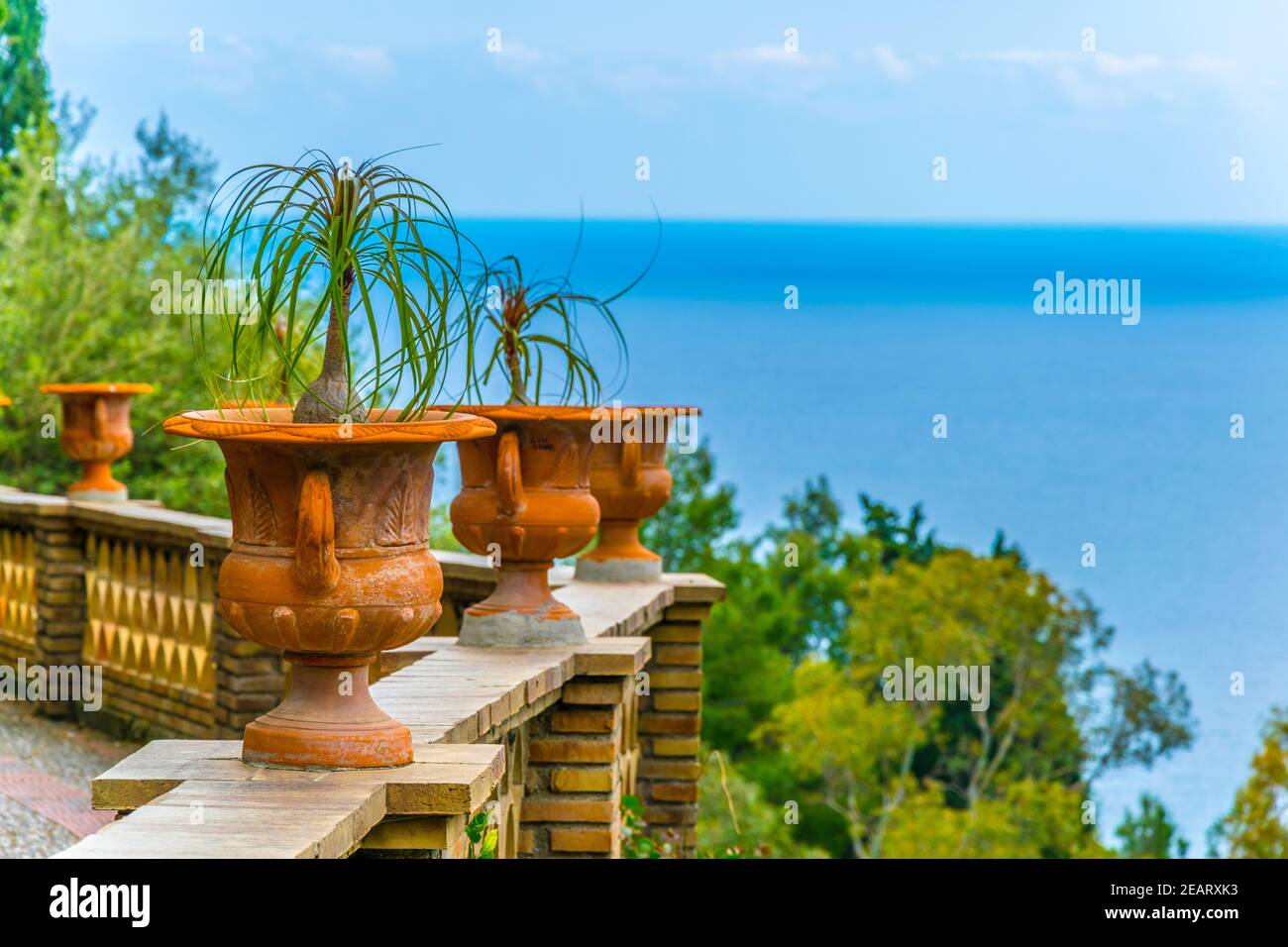 Flower pots with a small palms on a balcony Stock Photo