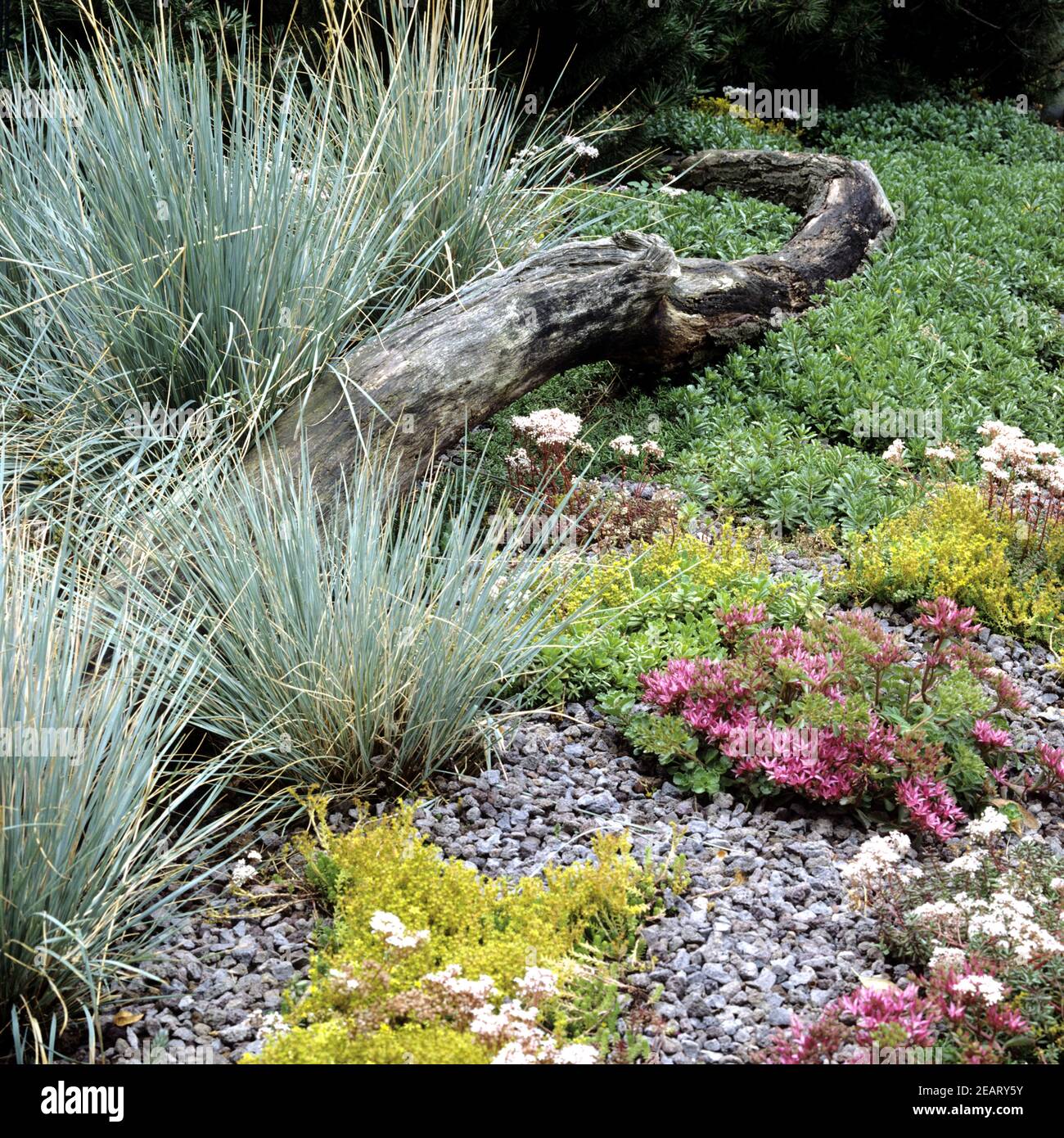 Dachbegruenung Stock Photo