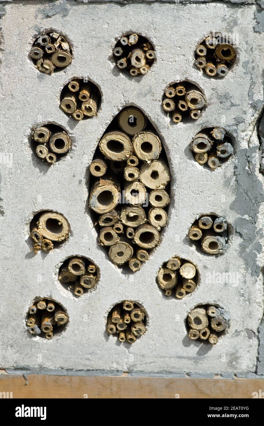 Insektenunterschlupf Stock Photo