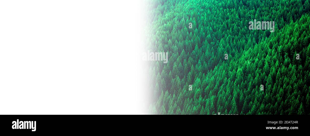 White mountains forest preserve hi-res stock photography and images - Alamy