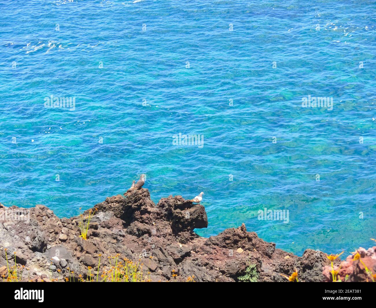 Seaster Island Rocks Aerial chile islands not easter island hi-res stock photography and ...