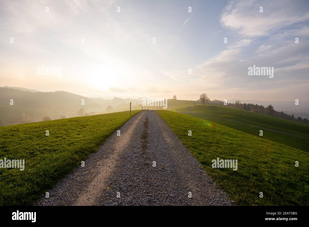 Beautiful shot foggy street hi-res stock photography and images - Alamy