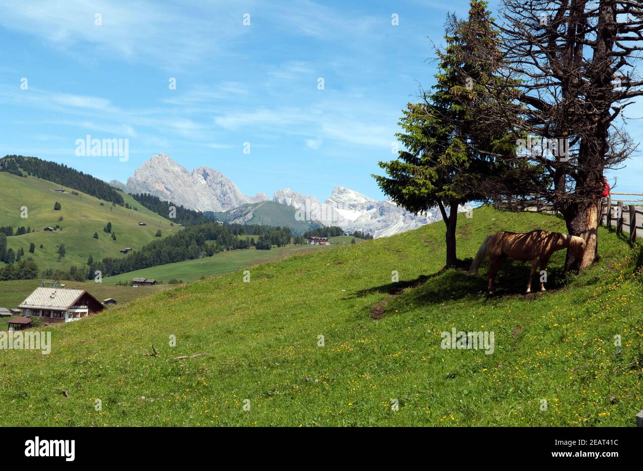 Seiser, Alm, Dolomiten, UNESCO-Weltnaturerbe, Dolomiti Stock Photo