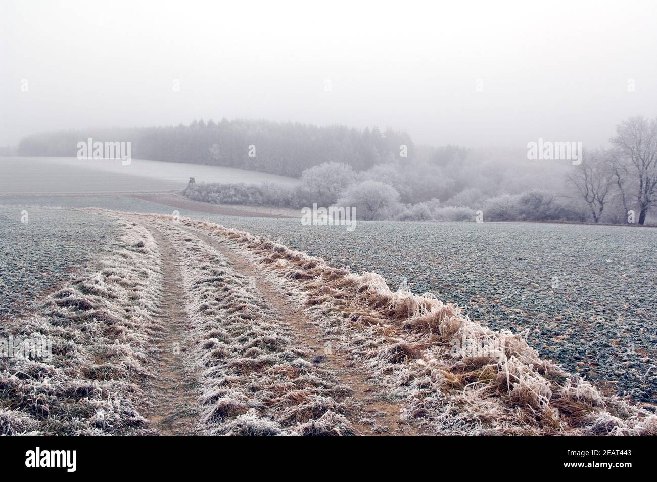 Kalte Winterlandschaft Stock Photo