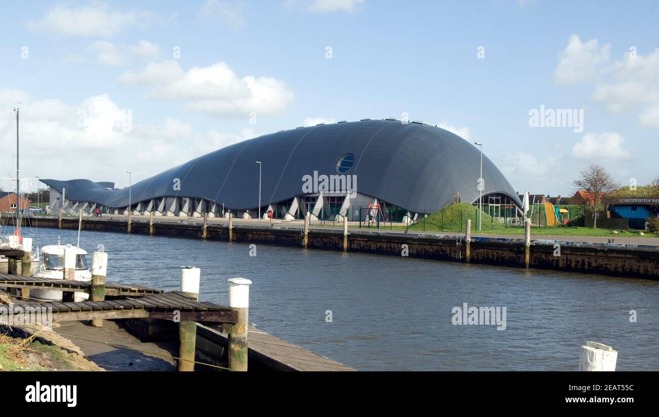 Wal Friedrichskoog  Spielpark Stock Photo