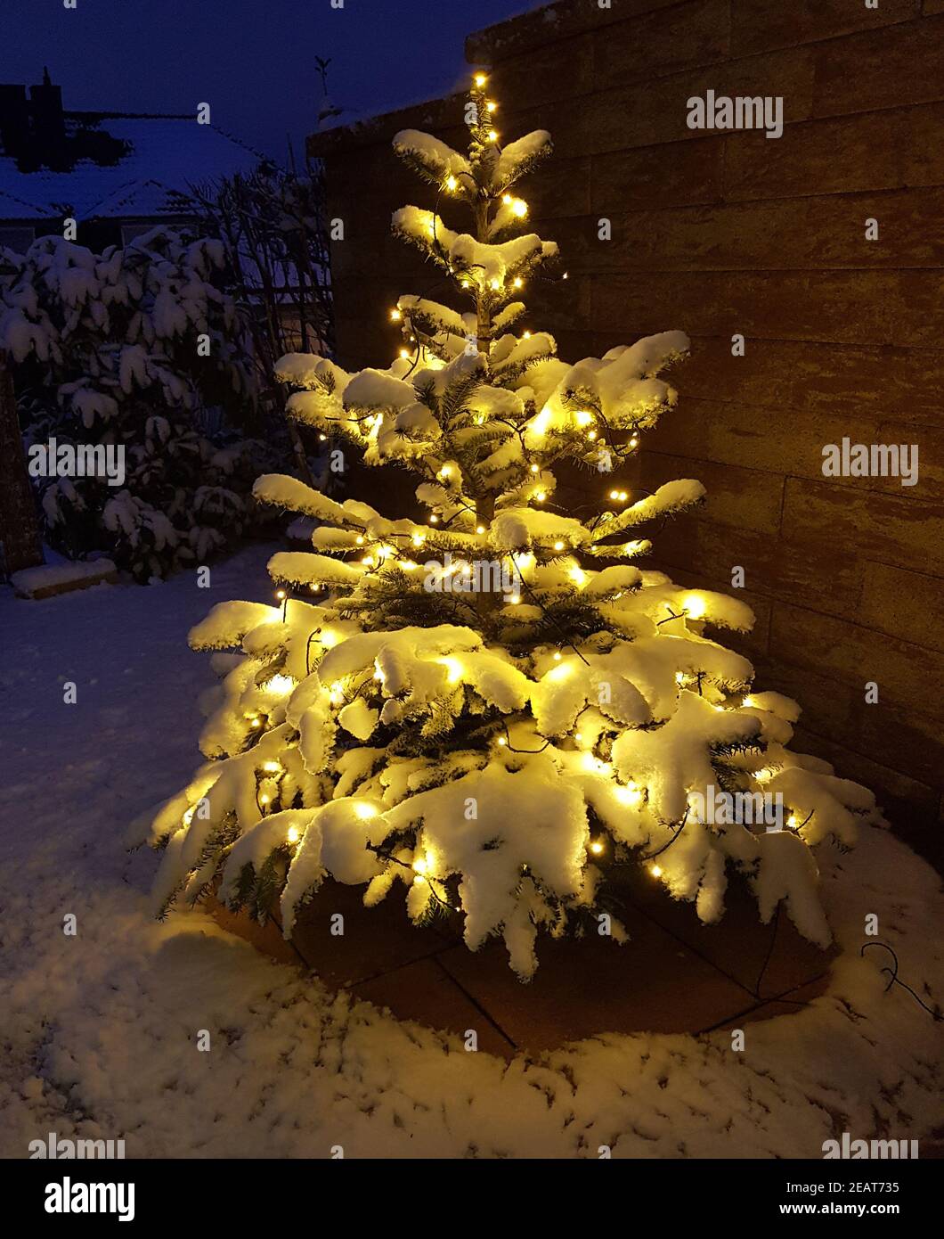 Weihnachtsbaum, Tannenbaum, Christbaum Stock Photo Alamy