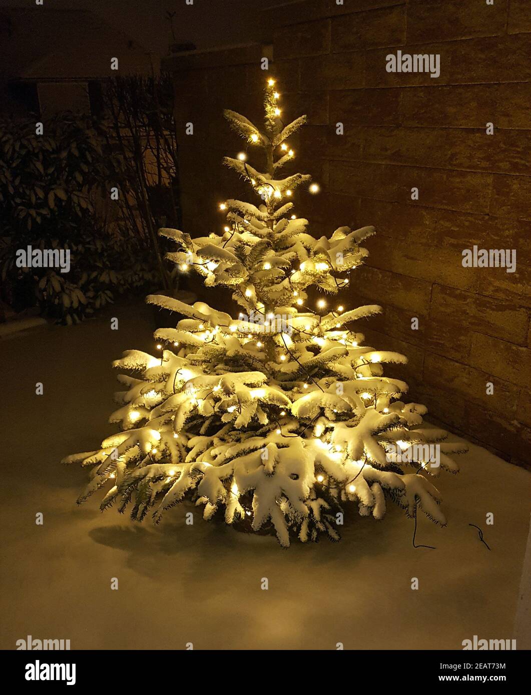 Weihnachtsbaum, Tannenbaum, Christbaum Stock Photo