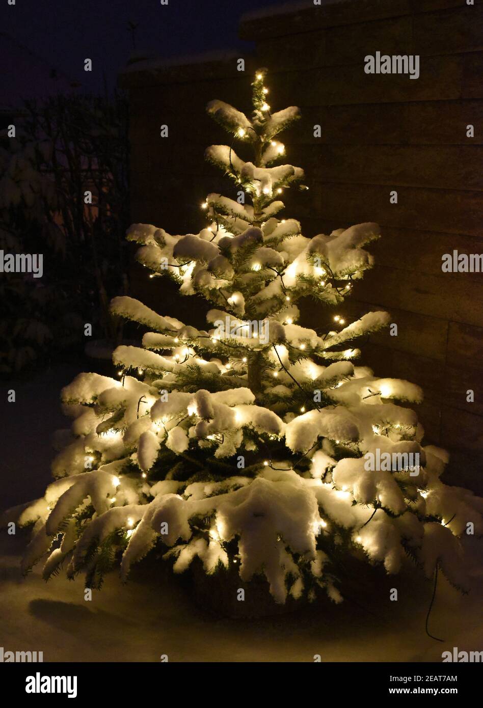 Weihnachtsbaum, Tannenbaum, Christbaum Stock Photo