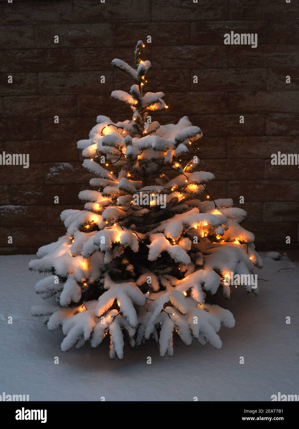 Weihnachtsbaum, Tannenbaum, Christbaum Stock Photo