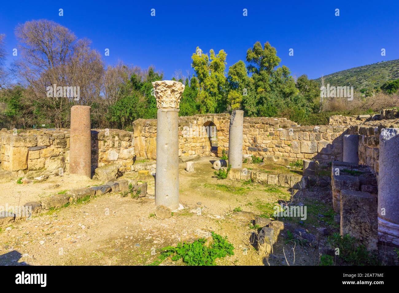 View of the remains of a synagogue, in the Hermon Stream (Banias) Nature Reserve, Upper Galilee, Northern Israel Stock Photo