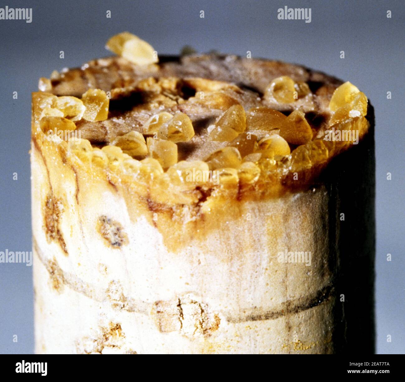 Weinstein Stock Photo