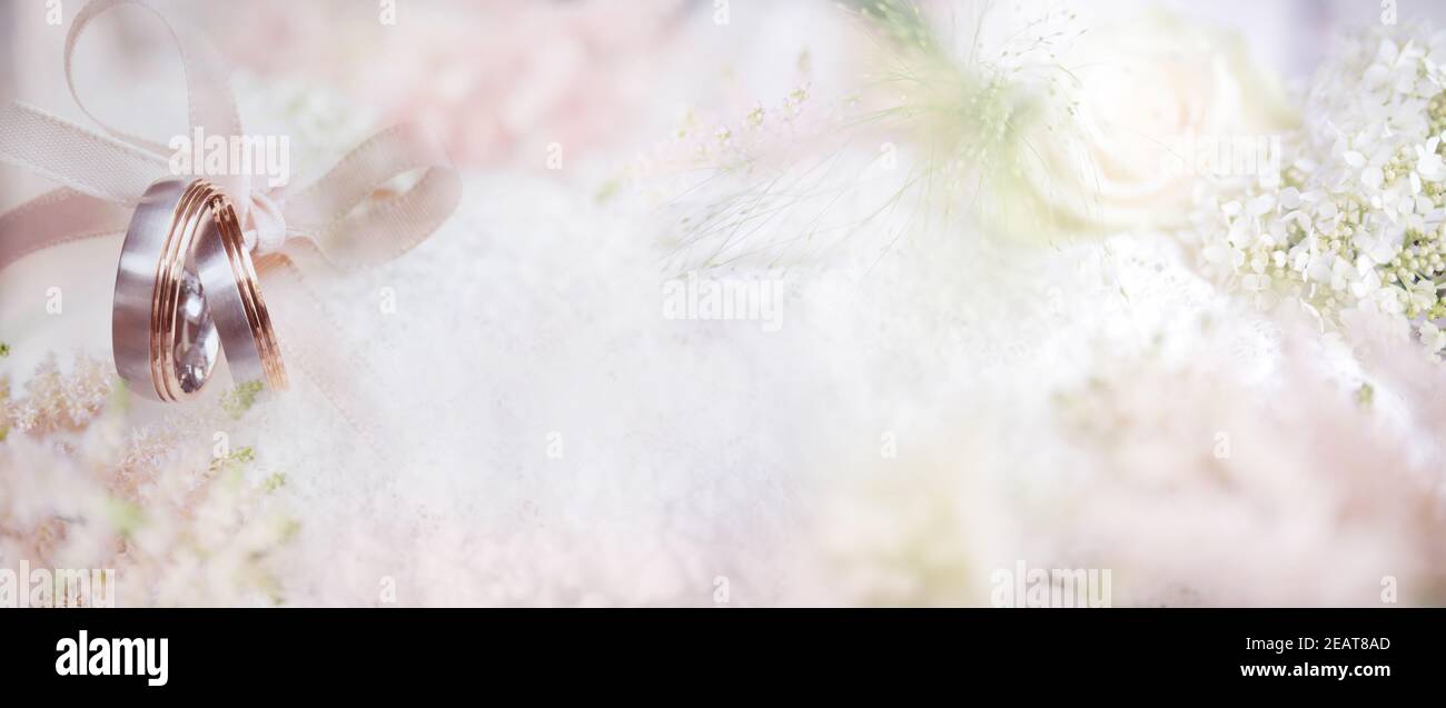 Wedding rings on delicate pink background Stock Photo