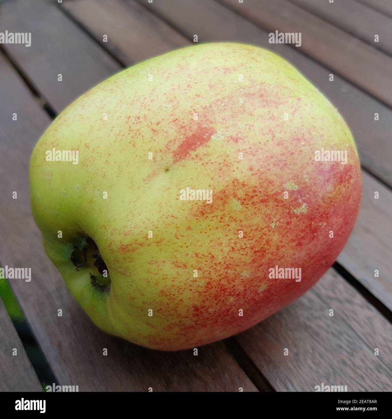 Englischer Prinz, Apfel, Malus, domestica, Alte Apfelsorte Stock Photo
