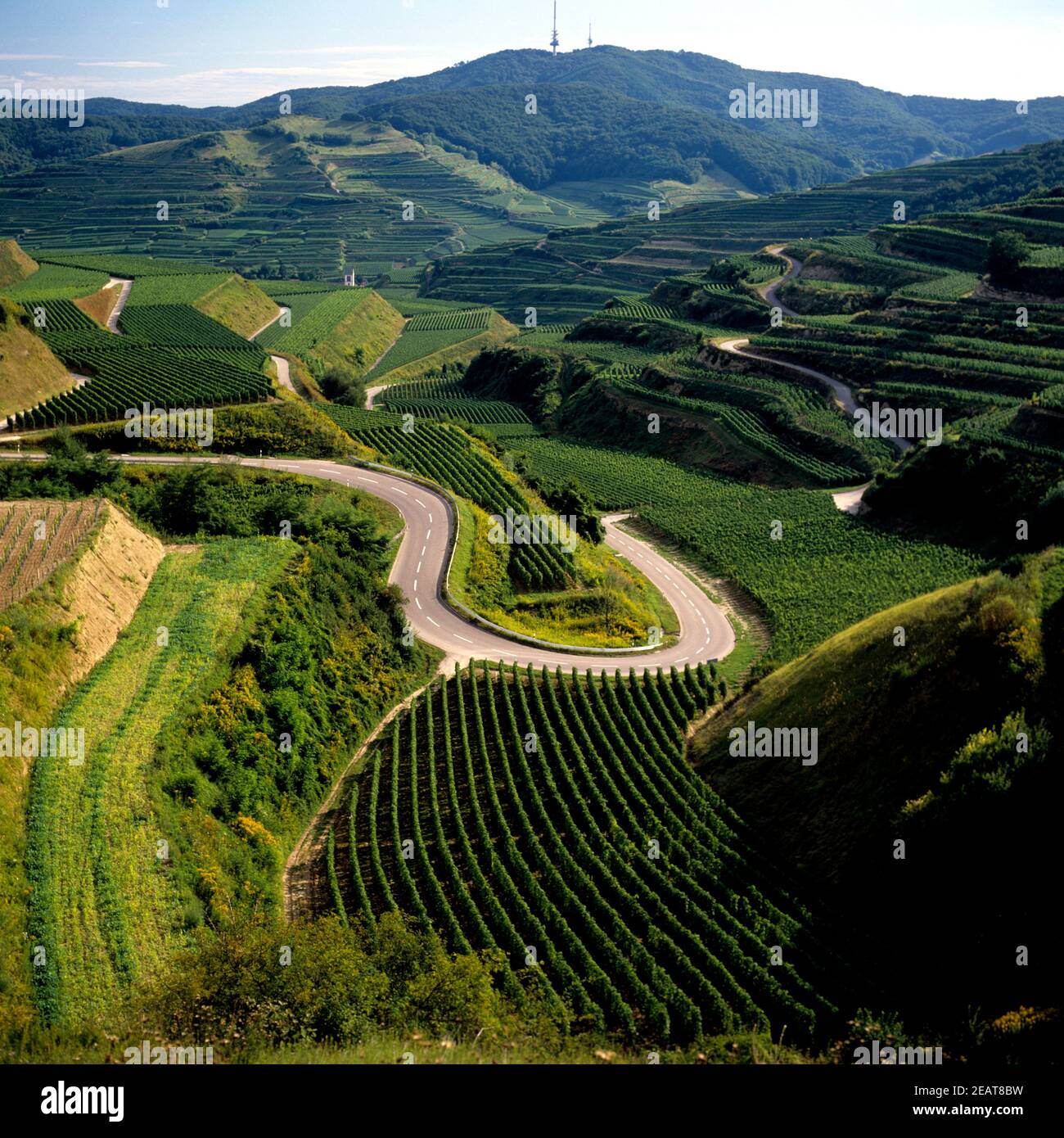  Am kaiserstuhl hi-res stock photography and images - Alamy Bildidee 