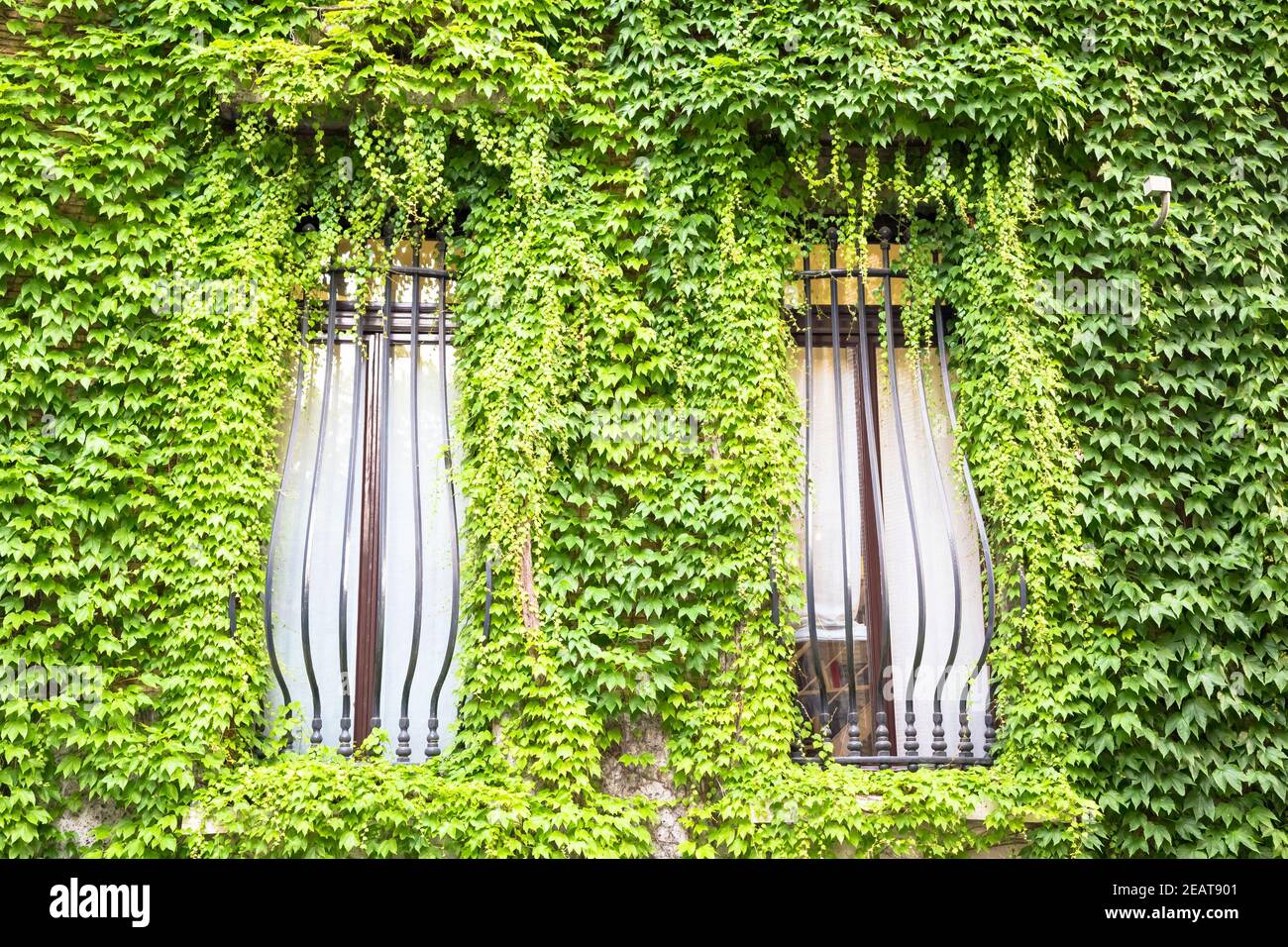 Green Real Estate Stock Photo Alamy