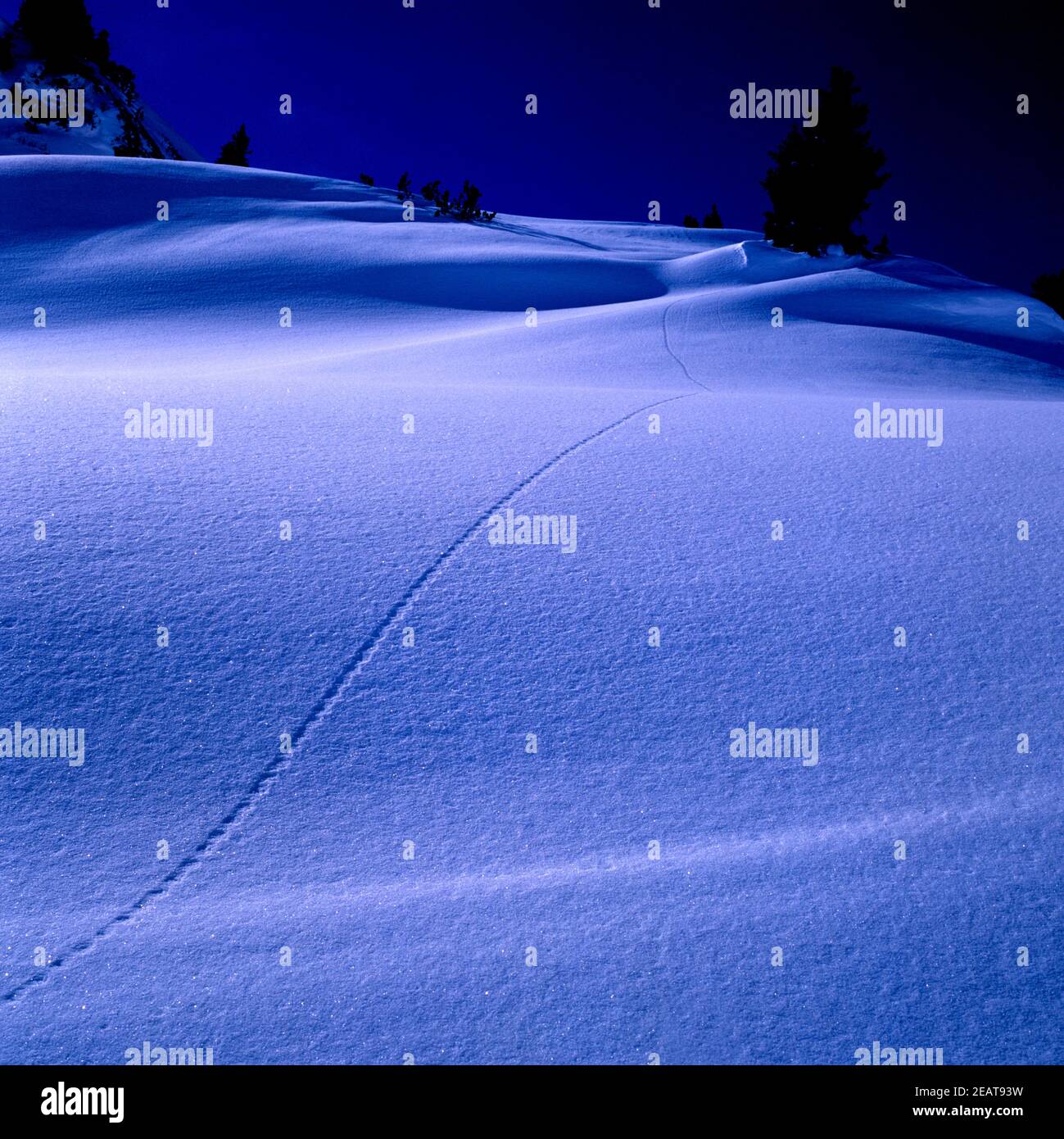 Winterimpression, Mondschein Stock Photo
