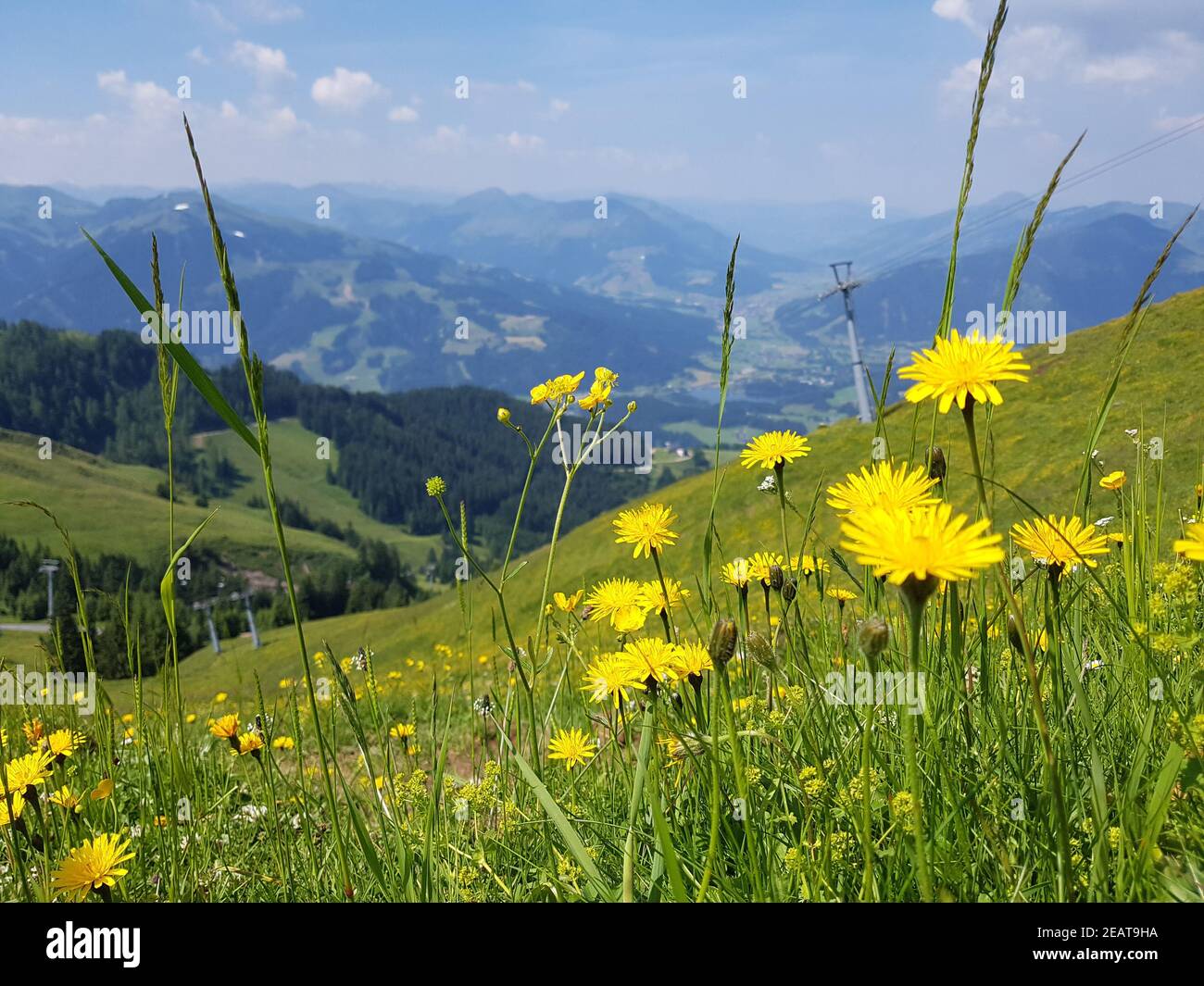 Kitzbueheler Alpen, Aussicht, Kitzbueheler Horn Stock Photo