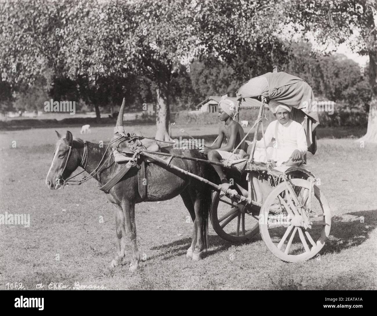 Horse and carriage 1900s hi-res stock photography and images - Alamy