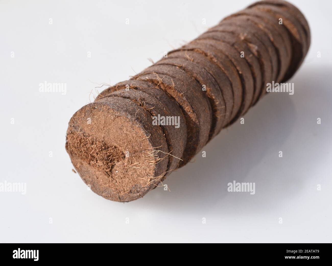 Kokos, Quelltabletten, gepresst, trocken Stock Photo