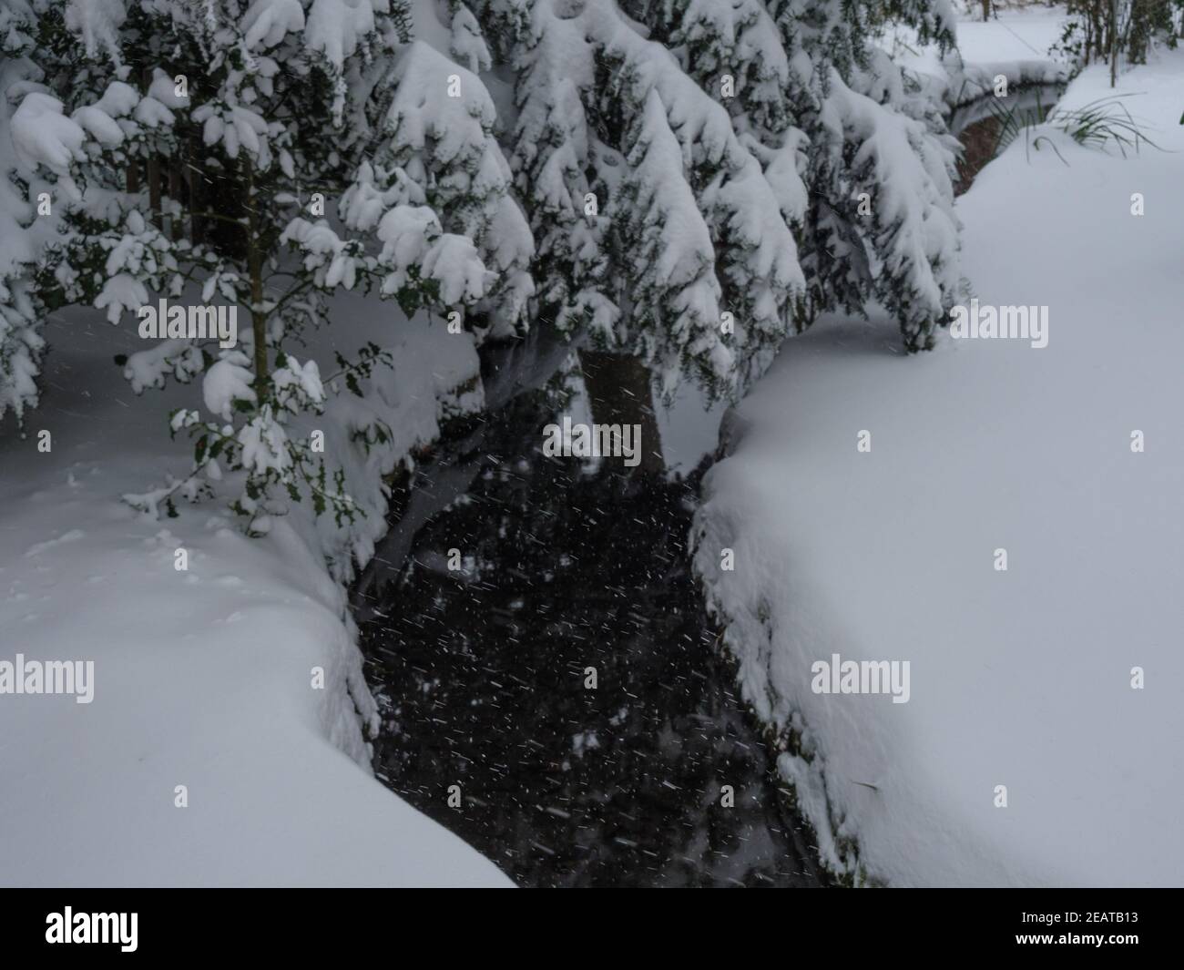 Weather in germany in february