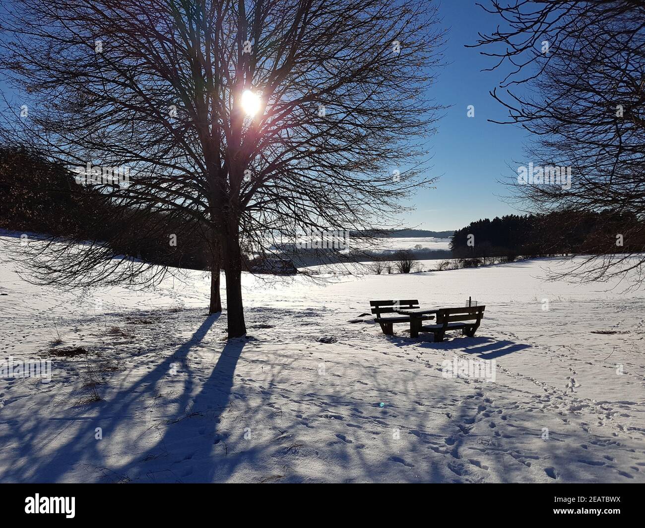 Winterlandschaft, Gegenlicht, Sonne Stock Photo