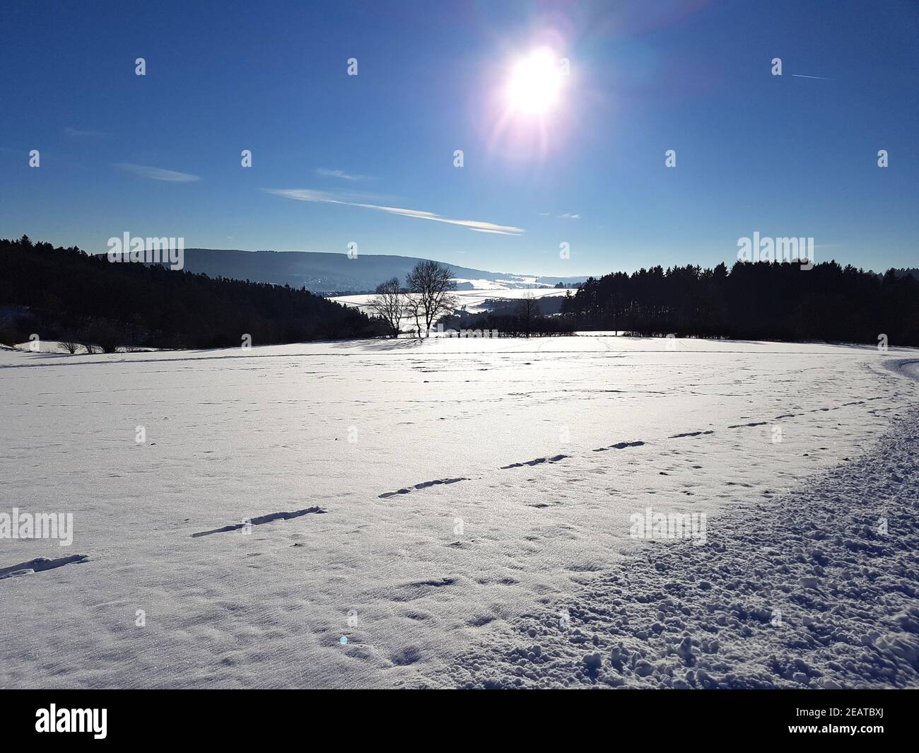 Winterlandschaft, Gegenlicht, Sonne Stock Photo