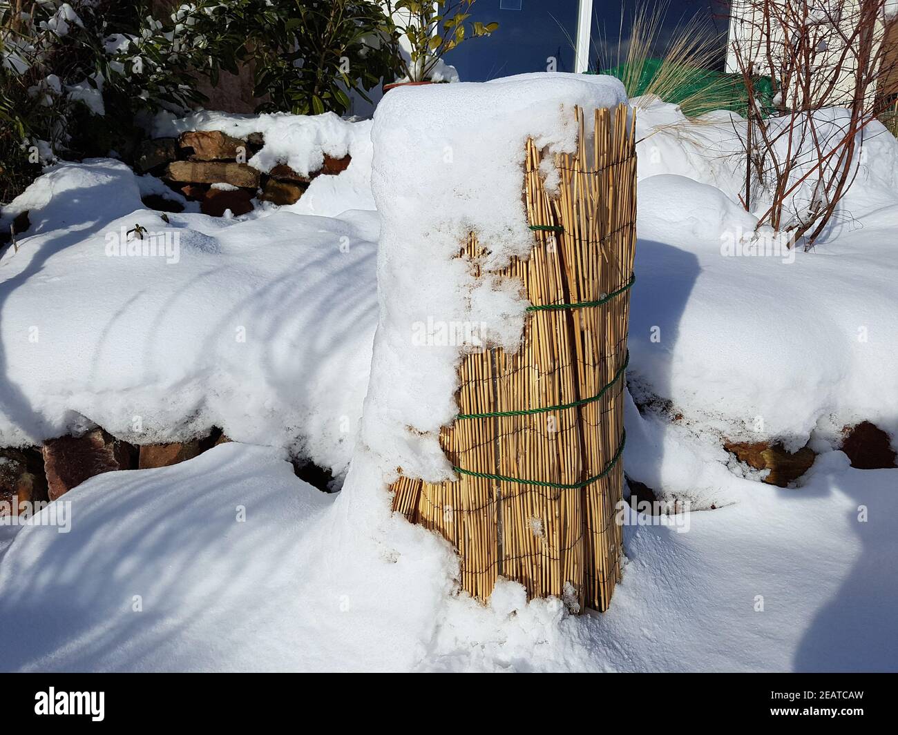 Winterschutz  Frostschutz, Schilfmatten Stock Photo