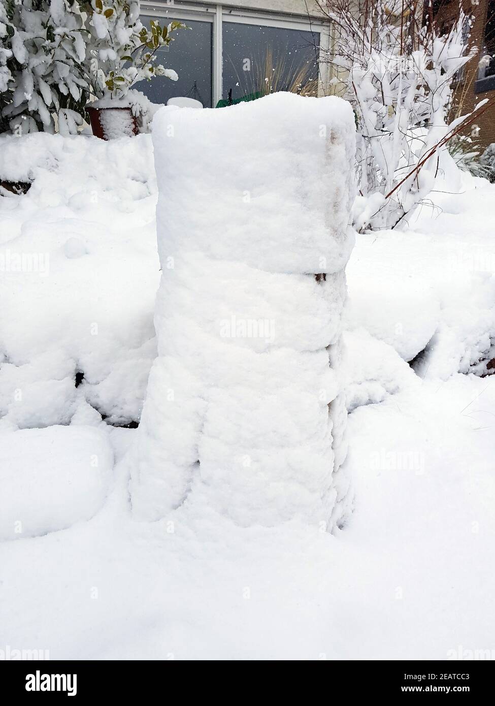 Winterschutz  Frostschutz, Schilfmatten Stock Photo