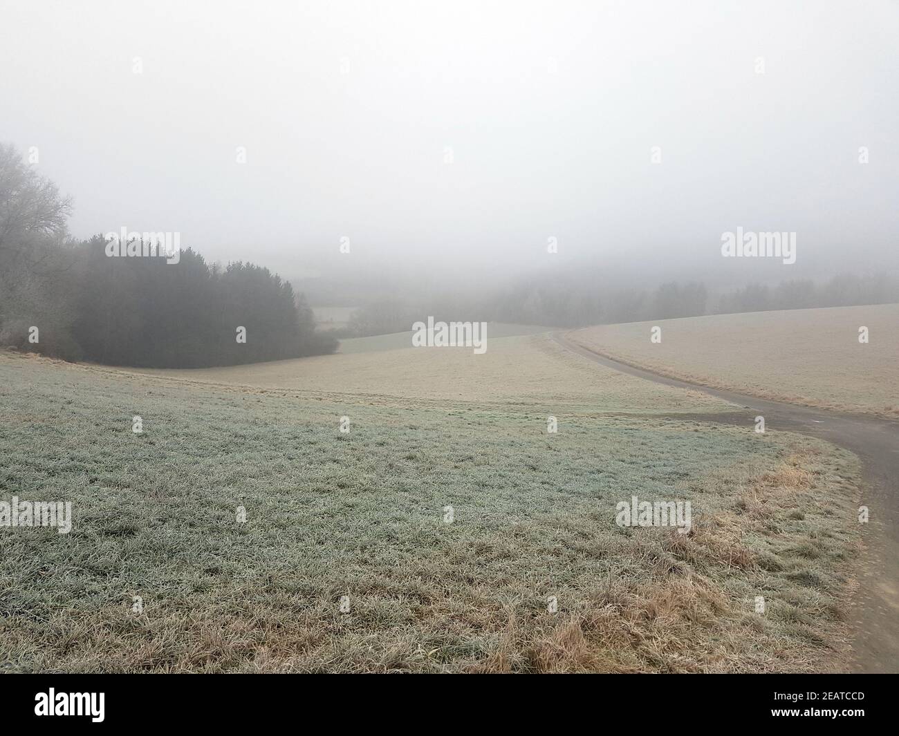 Winterlandschaft, Taunus, Taunusstein Stock Photo