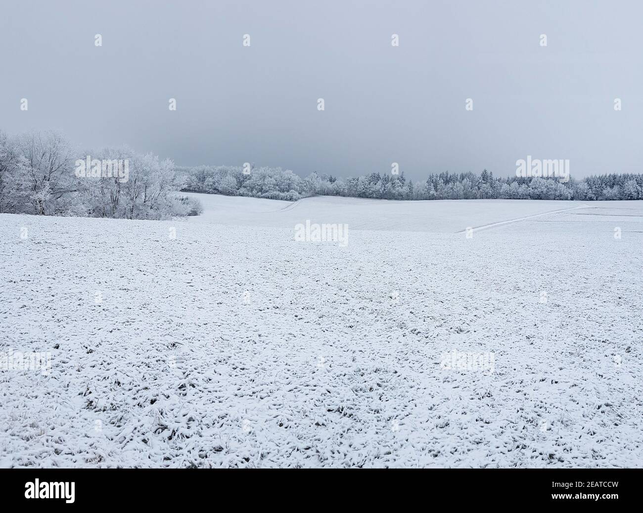 Winterlandschaft, Taunus, Taunusstein Stock Photo