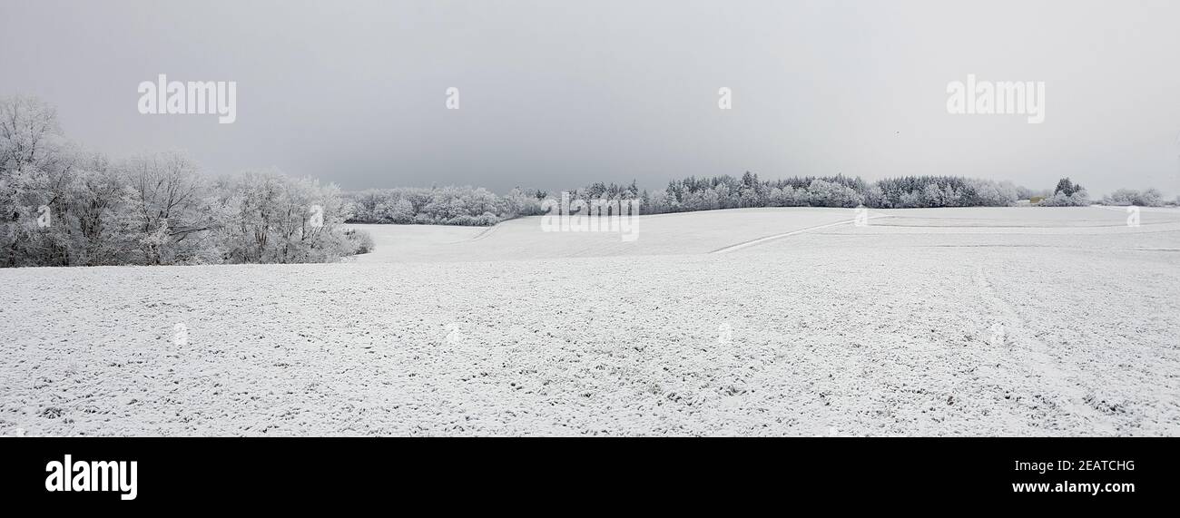 Winterlandschaft, Taunus, Taunusstein Stock Photo
