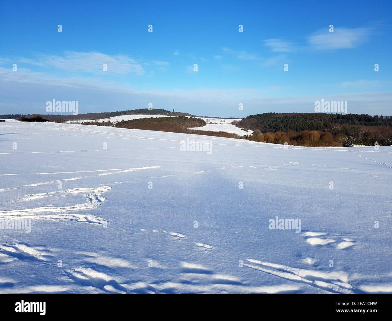 Winterlandschaft, Taunus, Taunusstein Stock Photo