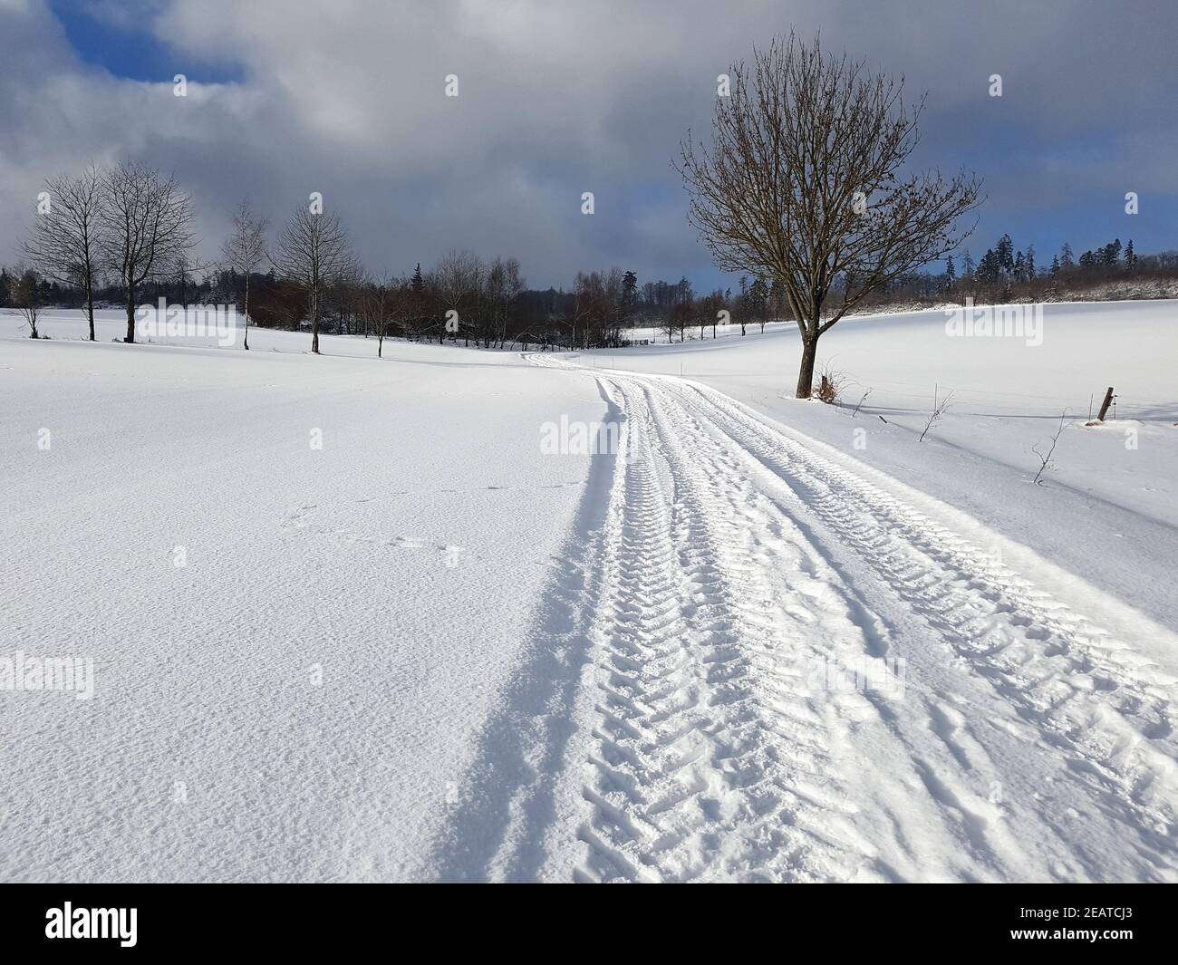 Winterlandschaft, Taunus, Taunusstein Stock Photo