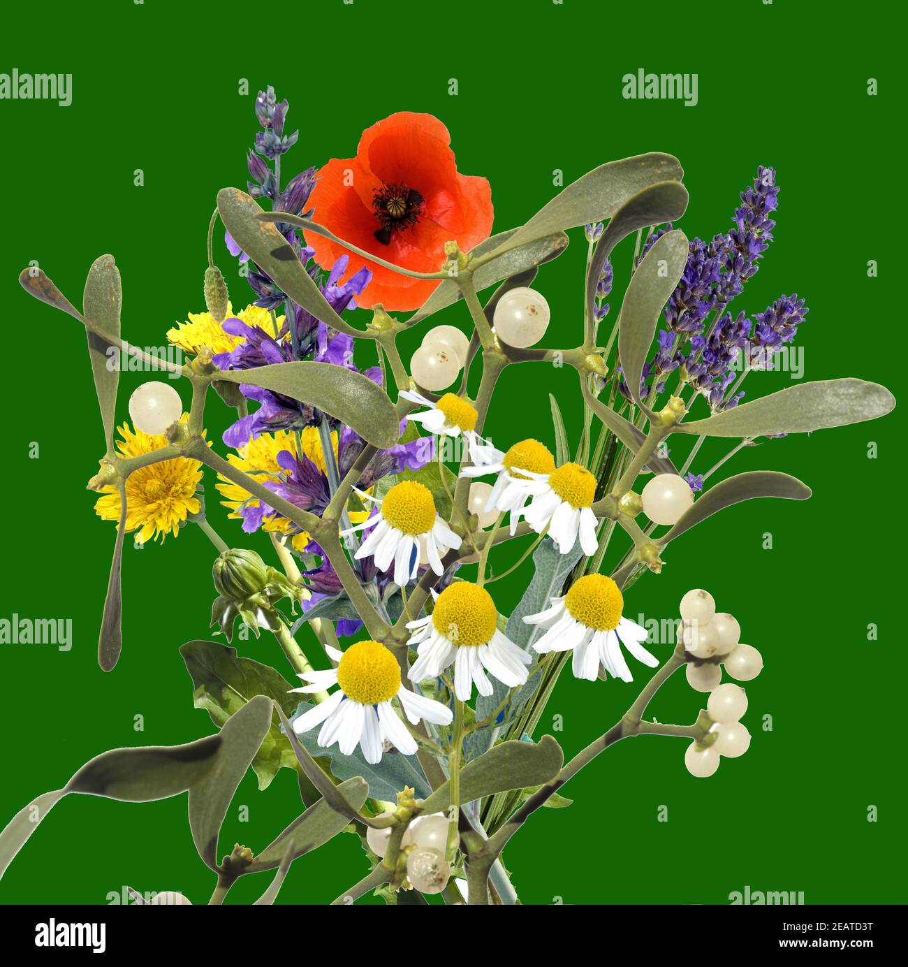 Kraeuterstrauss Stock Photo