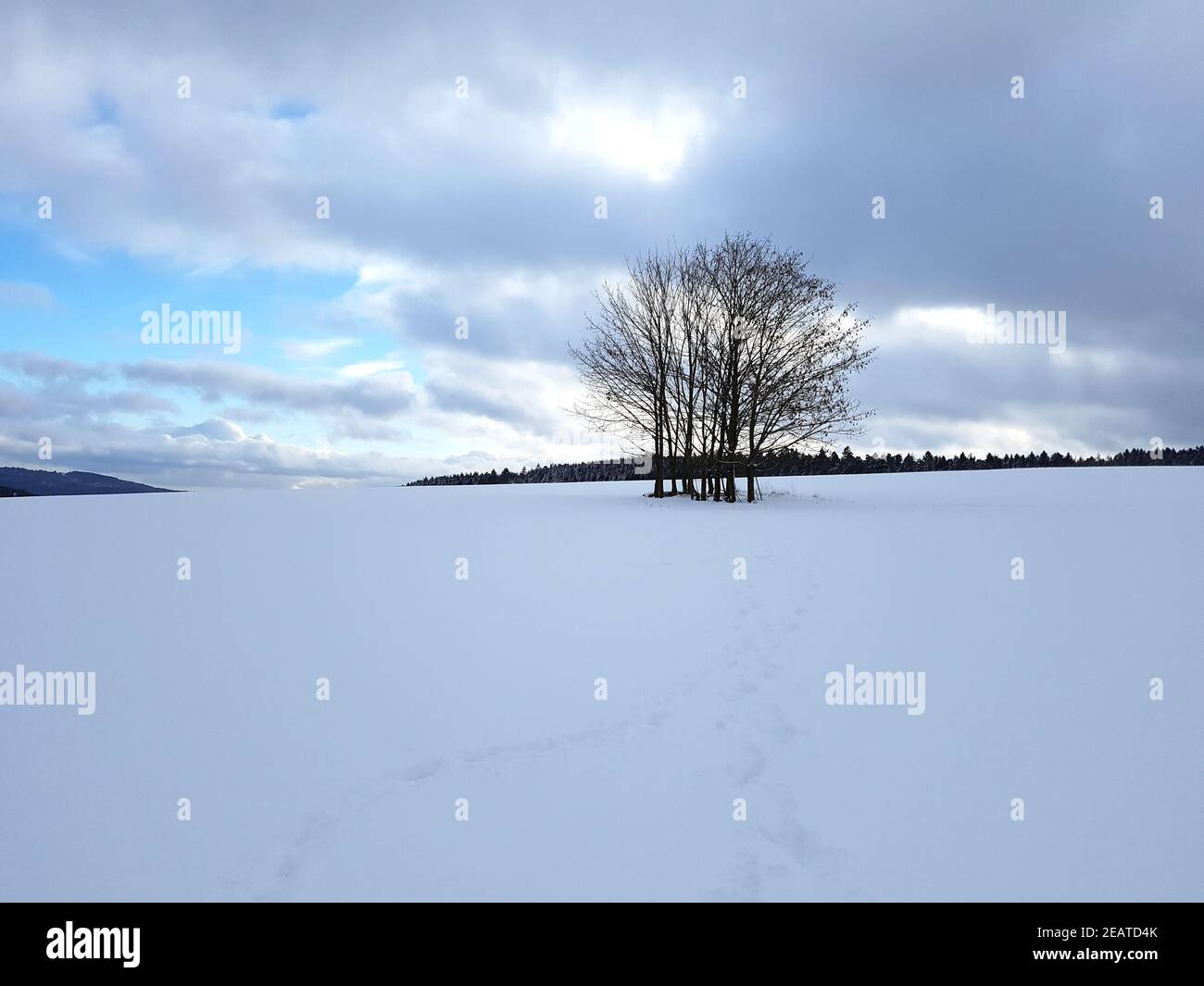 Winterlandschaft, Taunus, Taunusstein Stock Photo