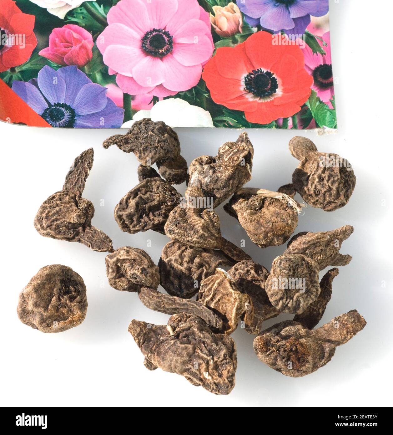 Knollen High Resolution Stock Photography And Images Alamy
