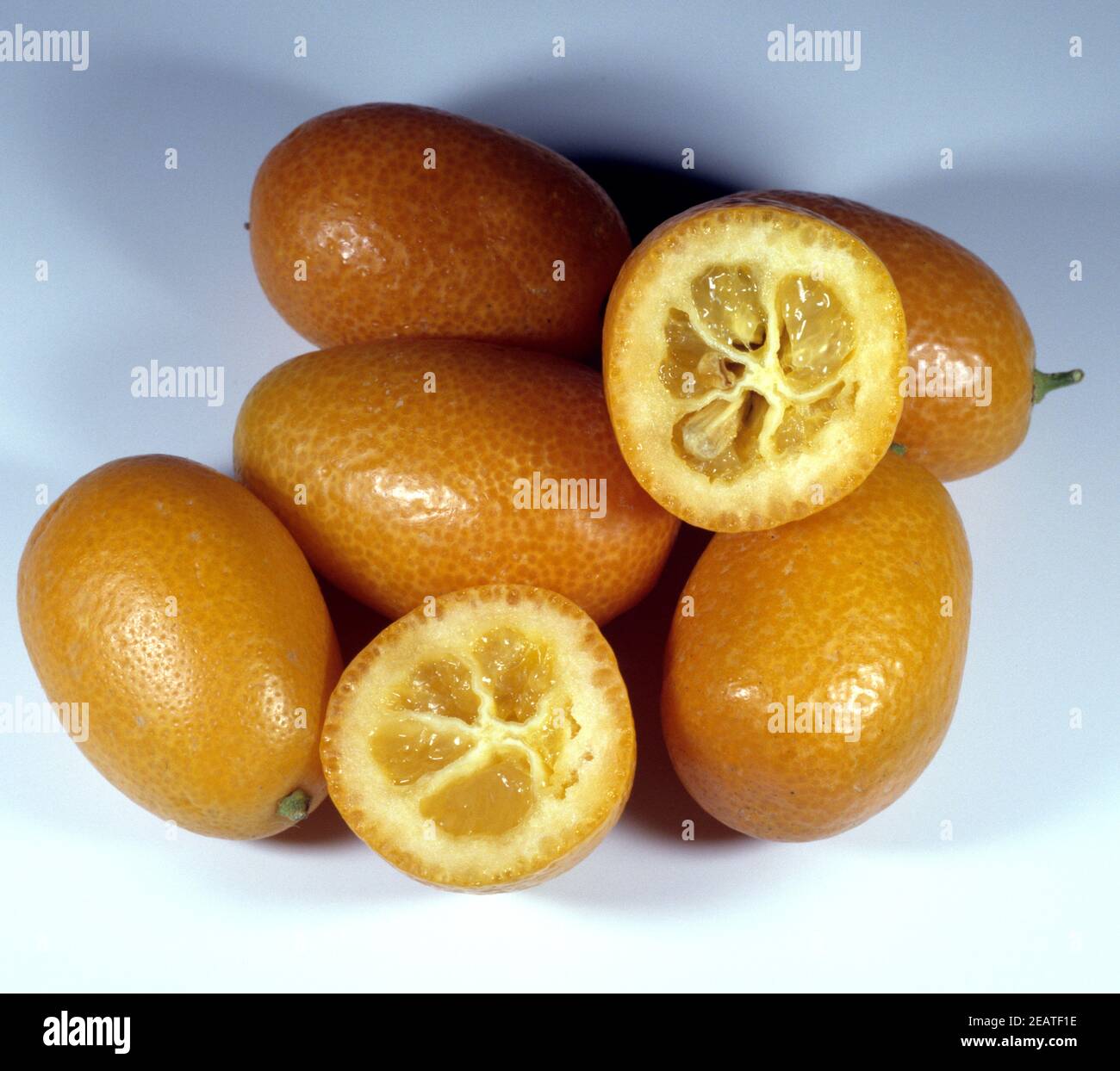 Kumquats, Fortunella spec., Exotische Frucht, exotisch, Suedfrucht, Stock Photo