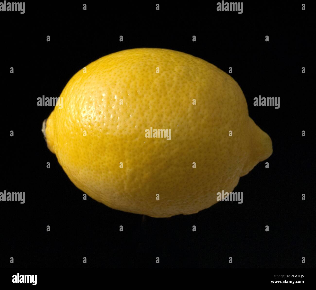 Zitrone, Citrus, limon Stock Photo