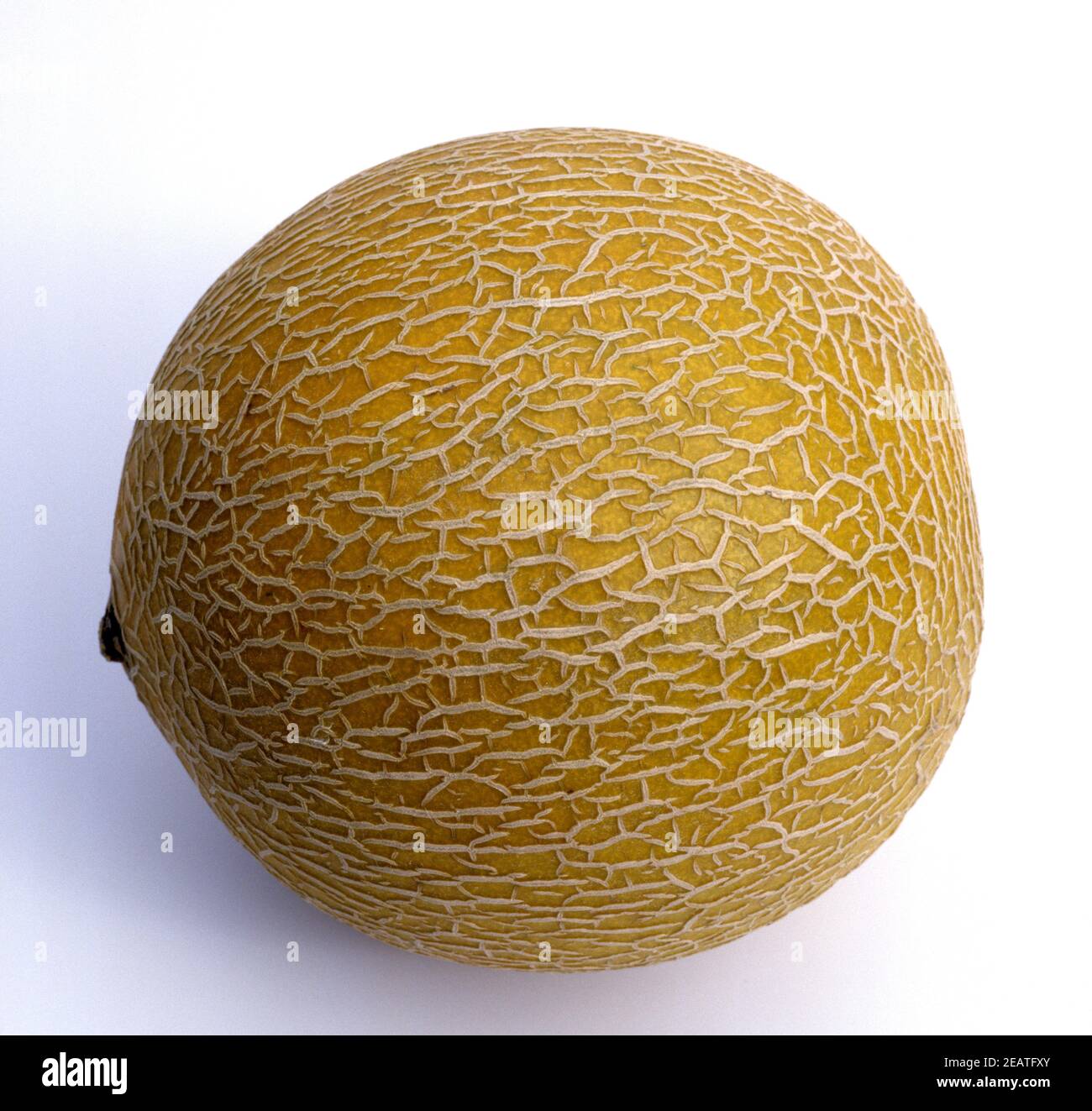 Zuckermelone Stock Photo