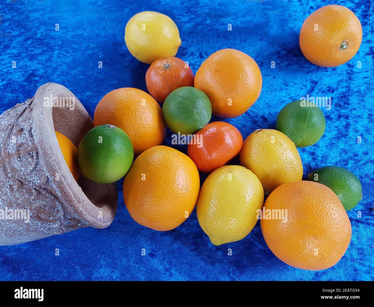 Zitrusfruechte, Zitrone, Citrus, Orangen Stock Photo